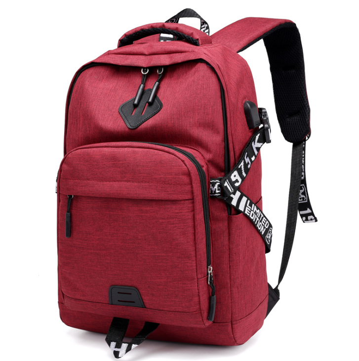 Laptop Backpack with USB Charger